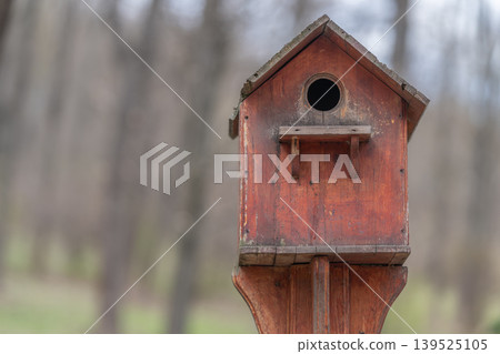 Birdhouse restoration scene. Handcrafted nest box created for new feathered residents. Volunteer effort rejuvenates charming bird house in springtime sanctuary setting Birdhouse restoration scene. Handcrafted nest box created for new feathered residents. Volunteer effort rejuvenates charming bird house in springtime sanctuary setting 139525105