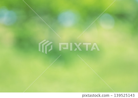 Green, early summer, summer, spring, out of focus, synthetic material Green, early summer, summer, spring, out of focus, synthetic material 139525143