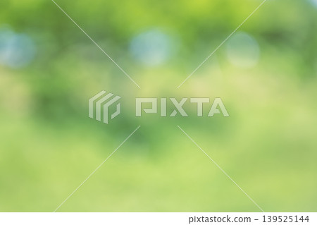 Green, early summer, summer, spring, out of focus, synthetic material Green, early summer, summer, spring, out of focus, synthetic material 139525144
