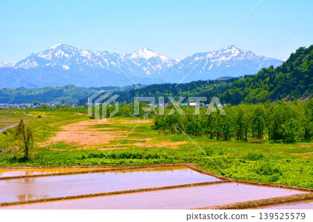 新潟縣魚沼市堀之內魚野川沿岸的清新綠意,以及白雪皚皚的越後三山山脈。 新潟縣魚沼市堀之內魚野川沿岸的清新綠意,以及白雪皚皚的越後三山山脈。 139525579