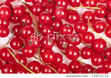 Red currant display. Vivid red berries on stems. Artistic presentation of vibrant currant bunches. Brightly arranged red currants with visible stems for culinary display Red currant display. Vivid red berries on stems. Artistic presentation of vibrant currant bunches. Brightly arranged red currants with visible stems for culinary display 139525718
