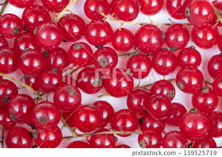 Dewy berry display. Shimmering dew on vibrant red berries displayed. Detailed shot capturing shimmering dew on lively red currant clusters with bright studio illumination Dewy berry display. Shimmering dew on vibrant red berries displayed. Detailed shot capturing shimmering dew on lively red currant clusters with bright studio illumination 139525719