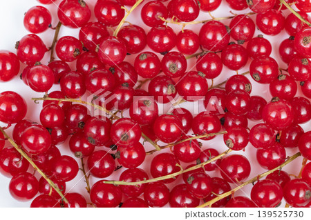 Closeup red currant clusters glistening on stems, tight crop reveals glossy skin and tiny stems, studio lighting, crisp white background, ingredient for jam and pastry 139525730