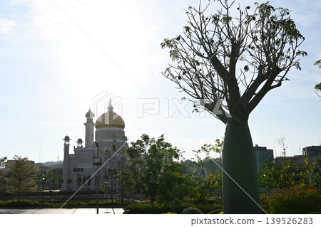 Baobab and Old Mosque Baobab and Old Mosque 139526283