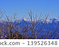 我透過覆蓋著霜雪的樹木，眺望著藍天下的南阿爾卑斯山。 139526348