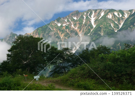In early summer, the flower fields of Mt. Goryu in Hakuba Village, Nagano Prefecture, are filled with many alpine plants in bloom. 139526371