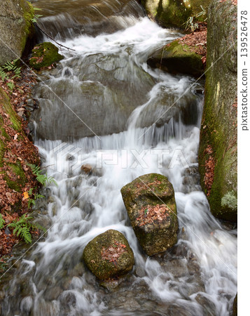 琵琶湖文化公園山澗(日落花園) 琵琶湖文化公園山澗(日落花園) 139526478