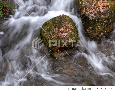 琵琶湖文化公園山澗(日落花園) 琵琶湖文化公園山澗(日落花園) 139526482