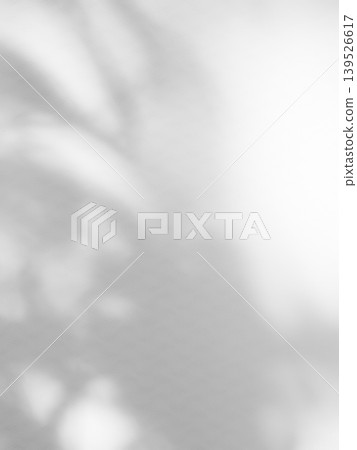 Background Shadow Abstract Leave Overlay Wall Floor Light Effect White Plant Sunlight Backdrop Mockup Minimal Spring Summer Nature Grey blur Photography Scene Template Poster Card Frame Product. Background Shadow Abstract Leave Overlay Wall Floor Light Effect White Plant Sunlight Backdrop Mockup Minimal Spring Summer Nature Grey blur Photography Scene Template Poster Card Frame Product. 139526617