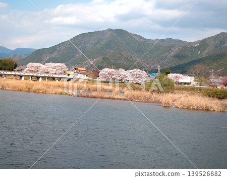 A spring rural landscape with cherry trees blooming along the riverbank and mountains stretching out before you. A spring rural landscape with cherry trees blooming along the riverbank and mountains stretching out before you. 139526882