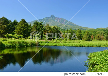 Rishiri Island, enveloped in fresh greenery; Mount Rishiri 139526936