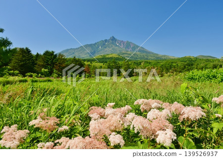 利尻島，綠意盎然；利尻山 139526937