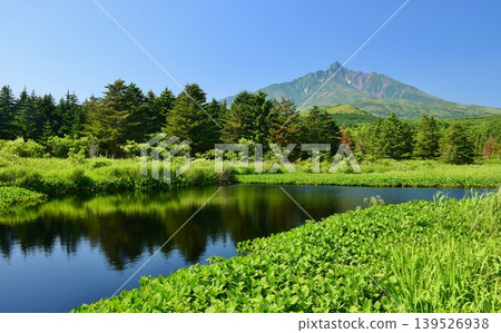 利尻島,綠意盎然;利尻山 利尻島,綠意盎然;利尻山 139526938