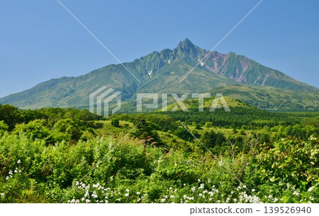 Rishiri Island, enveloped in fresh greenery; Mount Rishiri Rishiri Island, enveloped in fresh greenery; Mount Rishiri 139526940