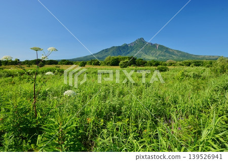 Rishiri Island, enveloped in fresh greenery; Mount Rishiri Rishiri Island, enveloped in fresh greenery; Mount Rishiri 139526941