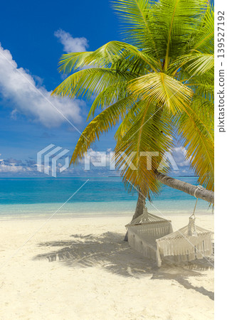 Vertical tropical beach wallpaper, palm tree swing hammock over white sand, breathtaking exotic travel vacation landscape, dreamy turquoise ocean paradise destination Vertical tropical beach wallpaper, palm tree swing hammock over white sand, breathtaking exotic travel vacation landscape, dreamy turquoise ocean paradise destination 139527192