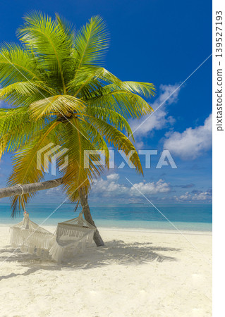 Stunning vertical tropical beach landscape, palm tree hammock swing framing turquoise ocean, luminous exotic vacation wallpaper, breathtaking dreamy paradise travel destination Stunning vertical tropical beach landscape, palm tree hammock swing framing turquoise ocean, luminous exotic vacation wallpaper, breathtaking dreamy paradise travel destination 139527193
