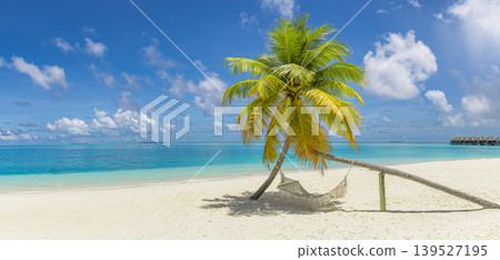 Gorgeous panoramic tropical beach landscape, palm tree swing hammock over white sand shoreline, turquoise ocean horizon, sunny blue sky, summer paradise scenery, perfect travel tourism wallpaper Gorgeous panoramic tropical beach landscape, palm tree swing hammock over white sand shoreline, turquoise ocean horizon, sunny blue sky, summer paradise scenery, perfect travel tourism wallpaper 139527195