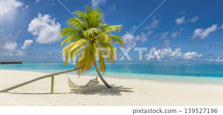 Breathtaking summer tropical beach panorama, palm tree hammock framing pristine white sand shore, vivid turquoise ocean under sunny sky, stunning travel wallpaper destination 139527196
