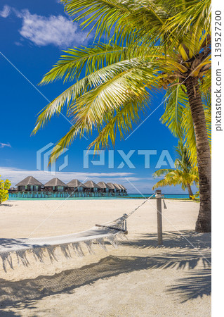 Peaceful Maldives beach with palm trees hammock, turquoise ocean view, luxury water villas, breathtaking tropical paradise scenery, famous dreamy travel destination background Peaceful Maldives beach with palm trees hammock, turquoise ocean view, luxury water villas, breathtaking tropical paradise scenery, famous dreamy travel destination background 139527200