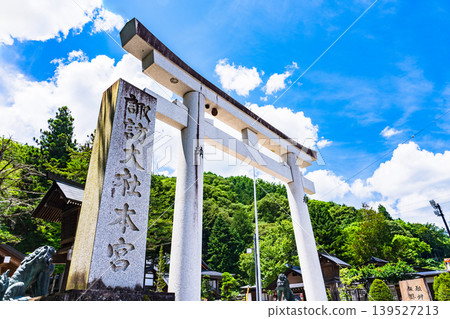 Exterior view of Suwa Grand Shrine, Upper Shrine, Main Sanctuary [Shrine around Lake Suwa, Nagano Prefecture] *Exterior photograph taken from outside the shrine grounds. 139527213