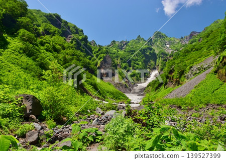 春天新綠的利尻島：亞穆內溪谷 139527399