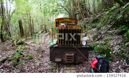 Jomon Cedar Trekking, Trolley Train, Yakushima Island Jomon Cedar Trekking, Trolley Train, Yakushima Island 139527416