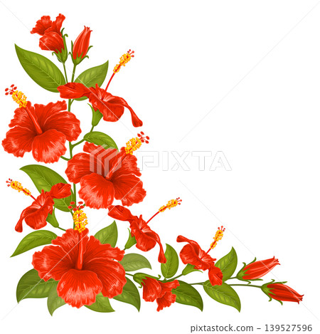 Floral Corner Decoration With Red Hibiscus Flowers Floral Corner Decoration With Red Hibiscus Flowers 139527596