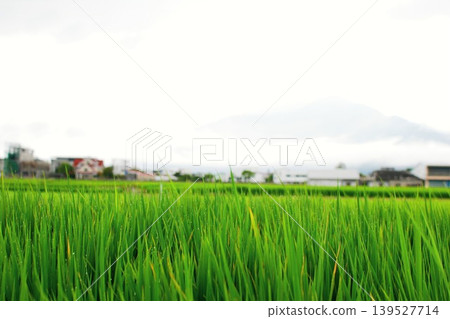 與稻田的風景 與稻田的風景 139527714