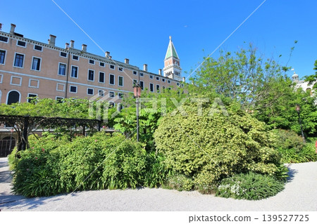 St. Mark's Campanile as seen from the King's Gardens in the old town of Venice, Italy. 139527725