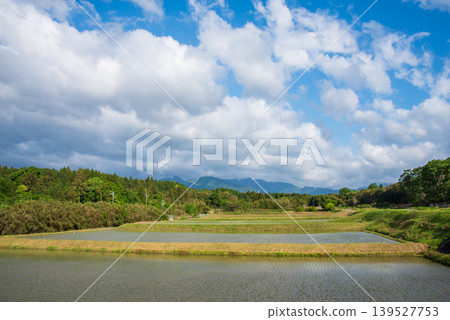 Rice paddies that have just been planted (Yokkaichi City, Mie Prefecture) Rice paddies that have just been planted (Yokkaichi City, Mie Prefecture) 139527753