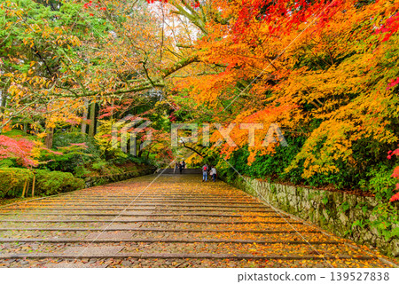 Kyoto, Komyoji Temple: Tourists strolling along the "Nyōninzaka" (Women's Slope), the main approach to the temple adorned with autumn leaves, and the scenery of the cobblestone streets. Kyoto, Komyoji Temple: Tourists strolling along the "Nyōninzaka" (Women's Slope), the main approach to the temple adorned with autumn leaves, and the scenery of the cobblestone streets. 139527838