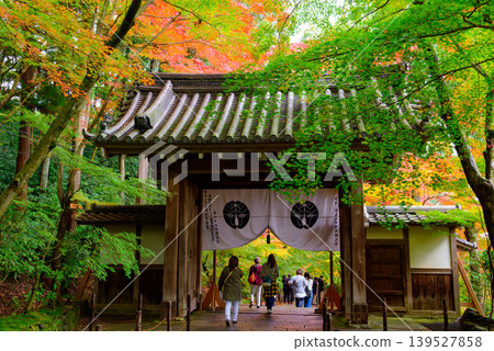 京都，光明寺：藥門上裝飾著三色漸層的秋葉，以及遊客的背影。 139527858