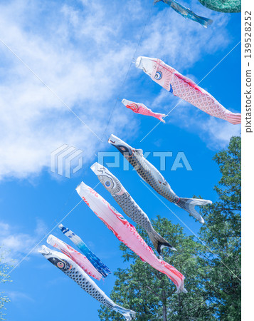 Carp streamer swimming in the blue sky Carp streamer swimming in the blue sky 139528252