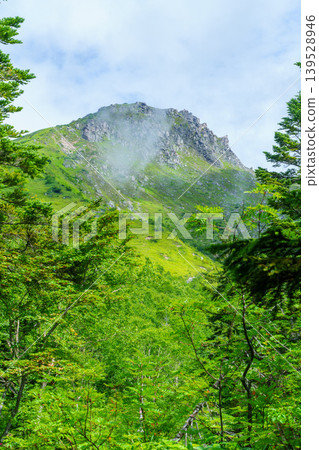 從雅克山登山道上可以看到北阿爾卑斯山的岩石山峰和籠罩在薄霧中的山景。 從雅克山登山道上可以看到北阿爾卑斯山的岩石山峰和籠罩在薄霧中的山景。 139528946