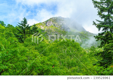 從雅克山登山道上可以看到北阿爾卑斯山的岩石山峰和籠罩在薄霧中的山景。 139528961