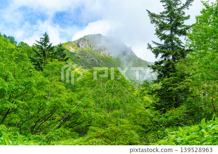 The rocky peaks of the Northern Alps and the mountain landscape shrouded in mist, as seen from the Mt. Yake climbing trail. The rocky peaks of the Northern Alps and the mountain landscape shrouded in mist, as seen from the Mt. Yake climbing trail. 139528963