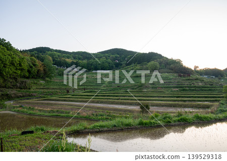 The beautiful terraced rice fields of Misaki Town, Okayama Prefecture, Japan The beautiful terraced rice fields of Misaki Town, Okayama Prefecture, Japan 139529318