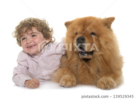 chow chow and boy chow chow and boy 139529345
