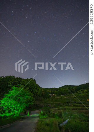 日本岡山縣三崎町美麗的夜色梯田 139529570