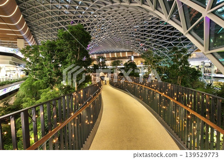 Night view of The Orchard (Tropical Botanical Garden) inside Hamad International Airport, Doha, Qatar. Night view of The Orchard (Tropical Botanical Garden) inside Hamad International Airport, Doha, Qatar. 139529773