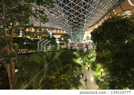 Night view of The Orchard (Tropical Botanical Garden) inside Hamad International Airport, Doha, Qatar. Night view of The Orchard (Tropical Botanical Garden) inside Hamad International Airport, Doha, Qatar. 139529777