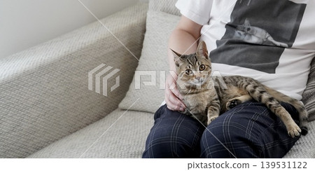 A tabby kitten staring at me from my lap A tabby kitten staring at me from my lap 139531122