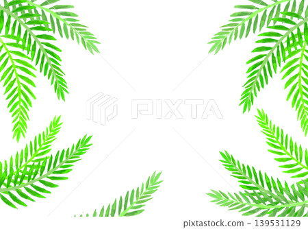 手繪水彩棕櫚葉畫框 手繪水彩棕櫚葉畫框 139531129