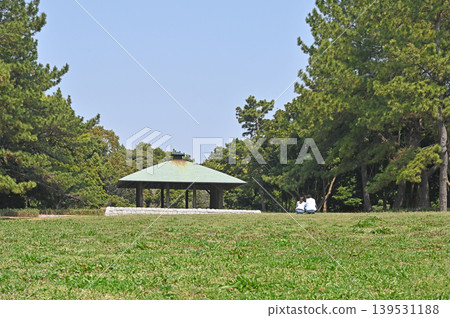 綠樹成蔭的公園裡，一座涼亭靜靜佇立，四周環繞著廣闊的草坪和樹林，構成了一幅令人放鬆的景象。 139531188