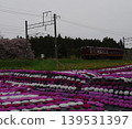 Train passing by moss phlox 139531397