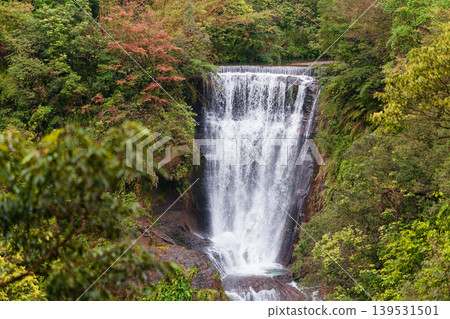 Sandiaoling Waterfall Panorama Surrounded by Lush Spring Forest Taiwan 139531501