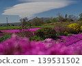 Mount Komagatake and moss phlox 139531502