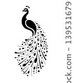 peacock an beautiful bird  in illustrator black and white 139531679
