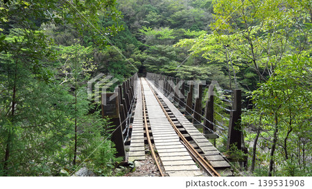 屋久島繩文雪松健行、電車軌道 139531908